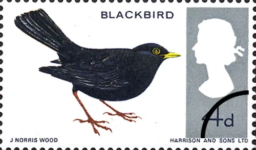 1966_birds_4