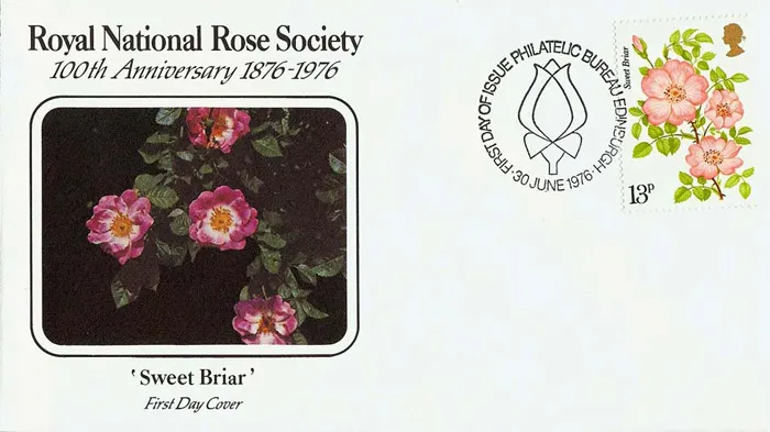 1976_roses_5