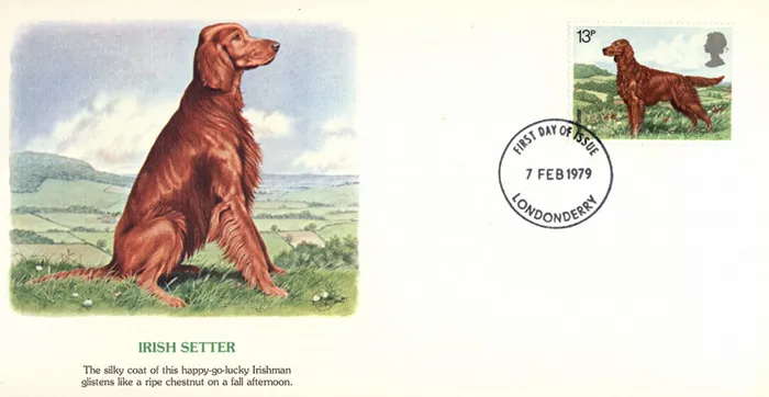 1979-Dogs-Setter