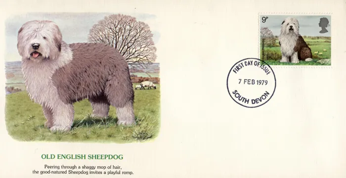 1979-Dogs-Sheepdog