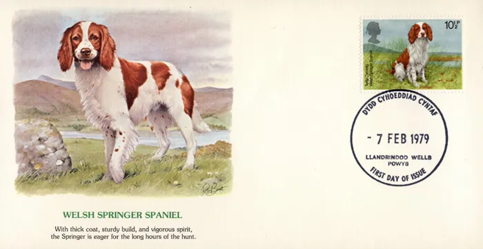 1979-Dogs-Springer