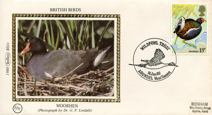 1980_Birds_1c