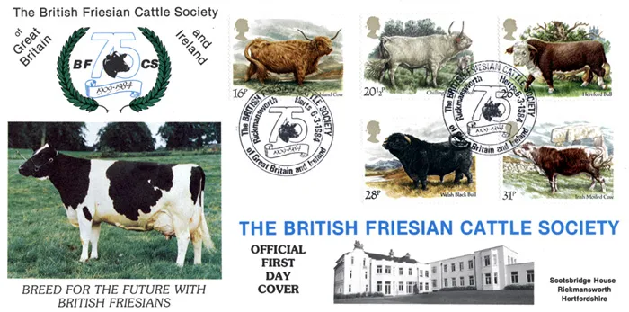 1984-Catt-Friesian