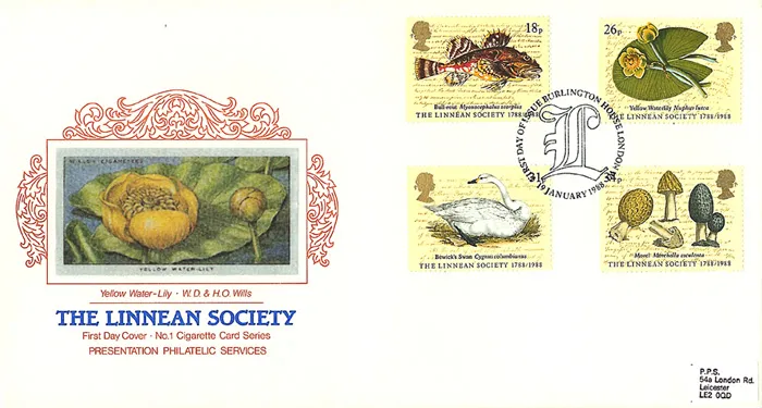 1988-CigCard-Linnean