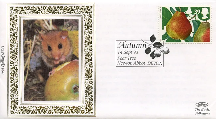 1993_Autumn_BS_41