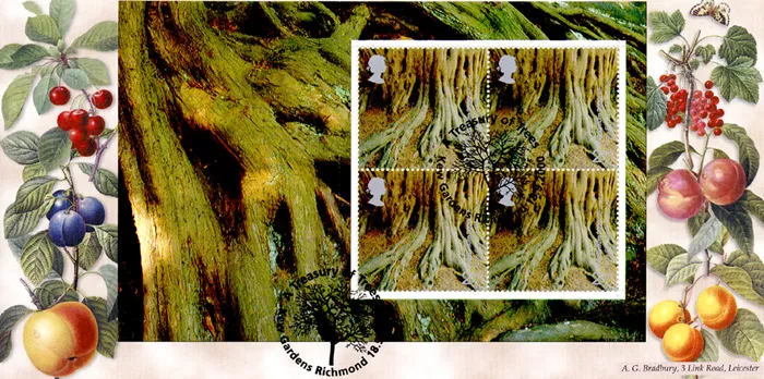 2000_PSB_Trees_5_Brad