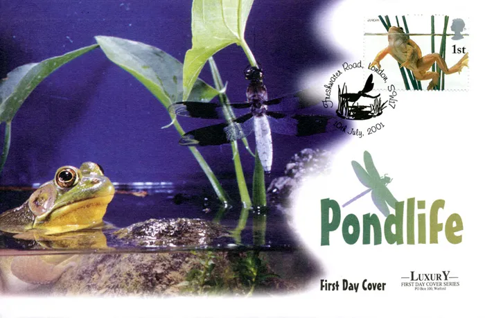 2001_Pond_West_1