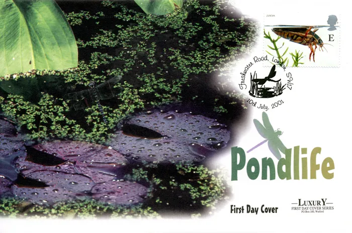 2001_Pond_West_2