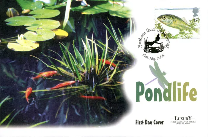 2001_Pond_West_3