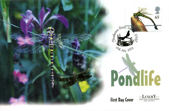 2001_Pond_West_4