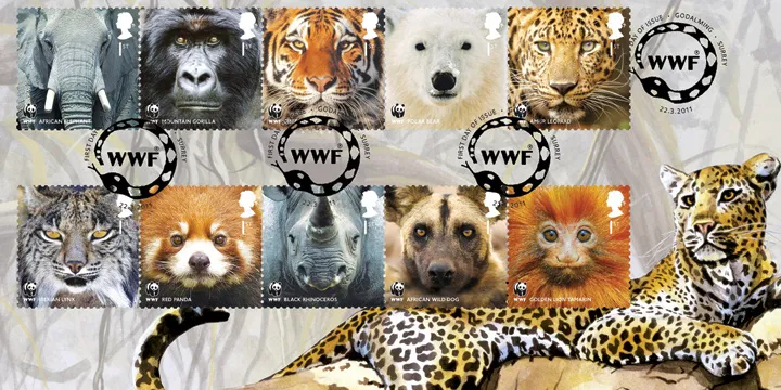 2011_WWF_BFDC108a