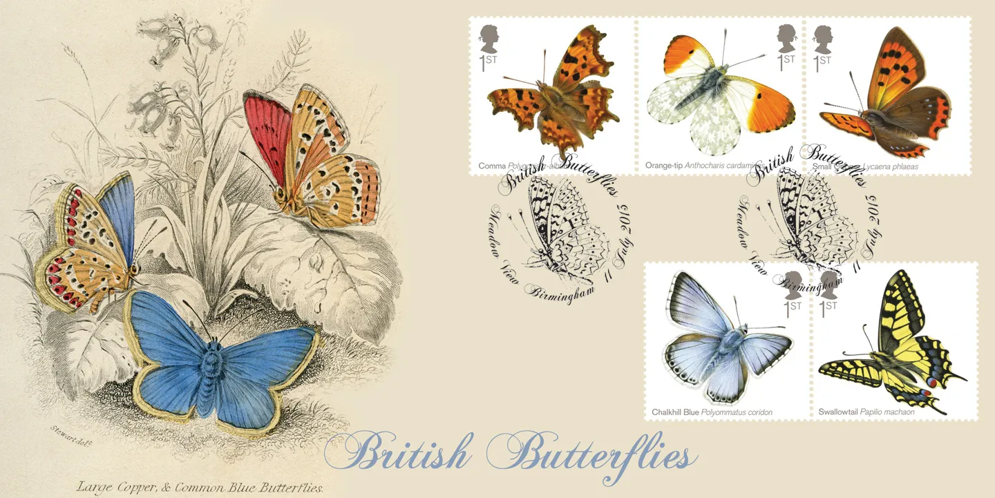 2013_Butterflies1A_BFDC231