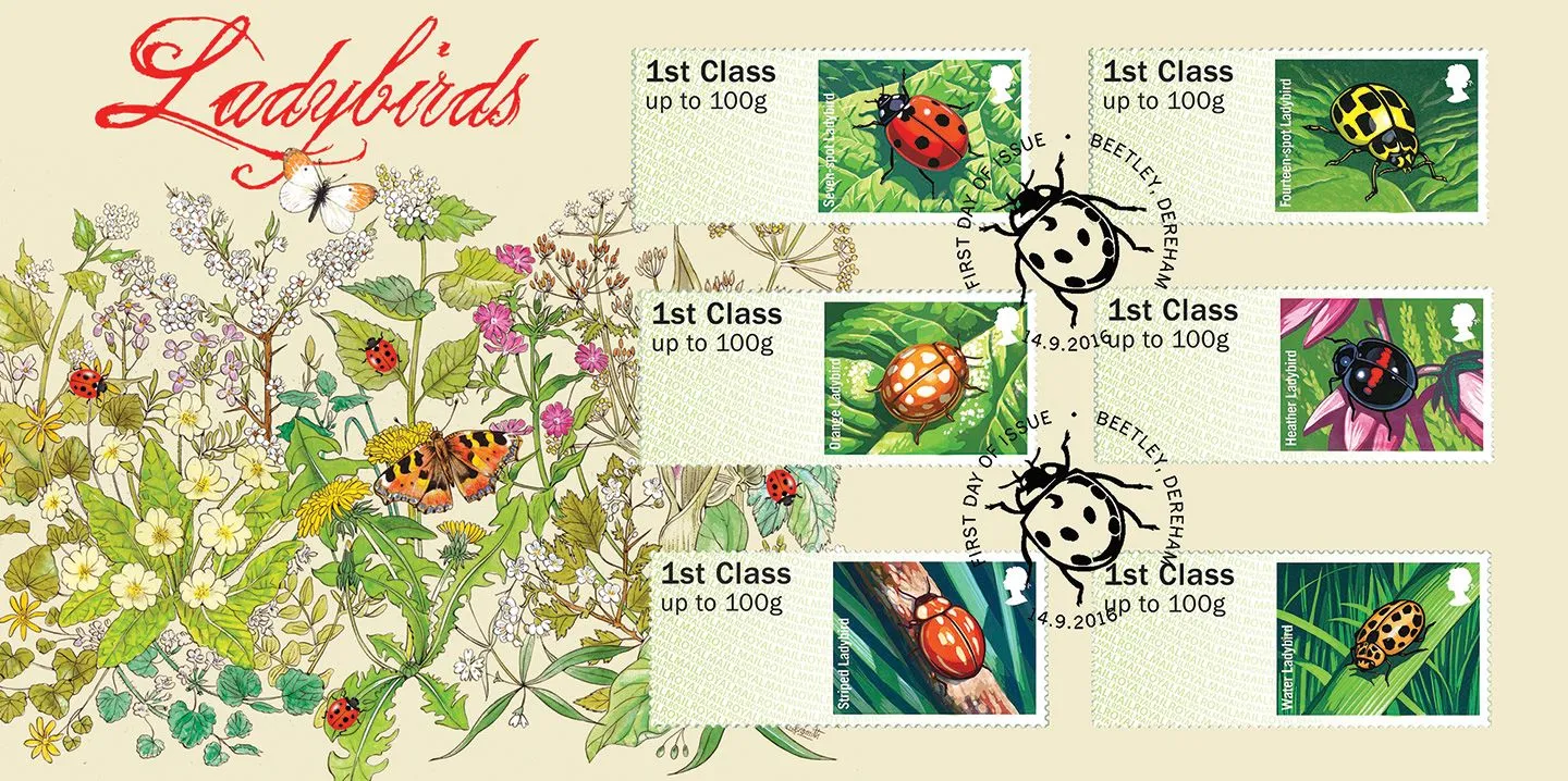 x2016_Ladybirds_BFDC398