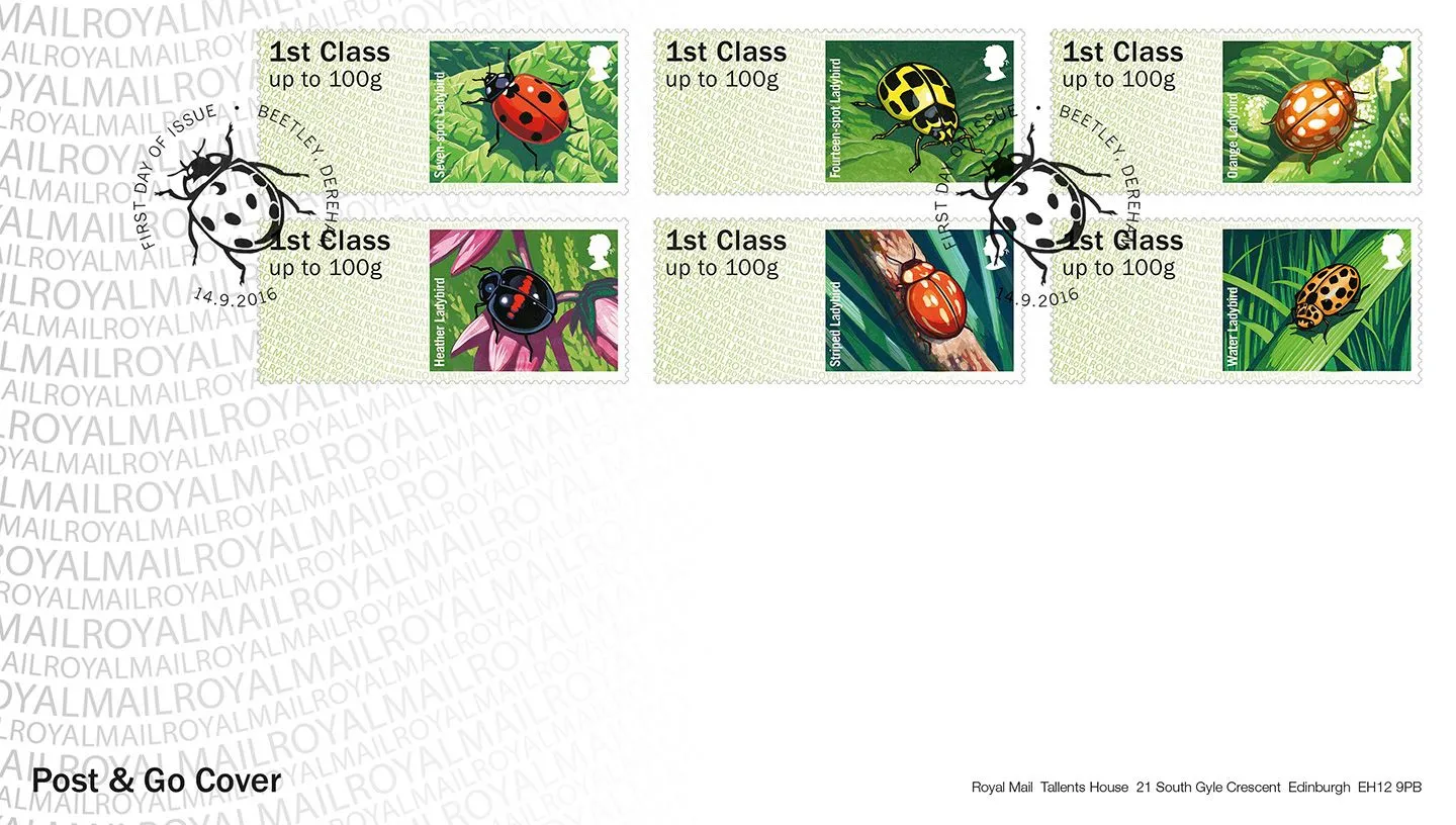 x2016_PG_Ladybirds_P0