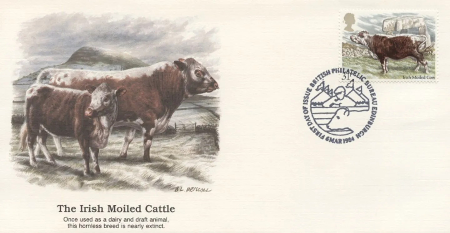 zFleetwood_SS_1984_03_06_Cows05